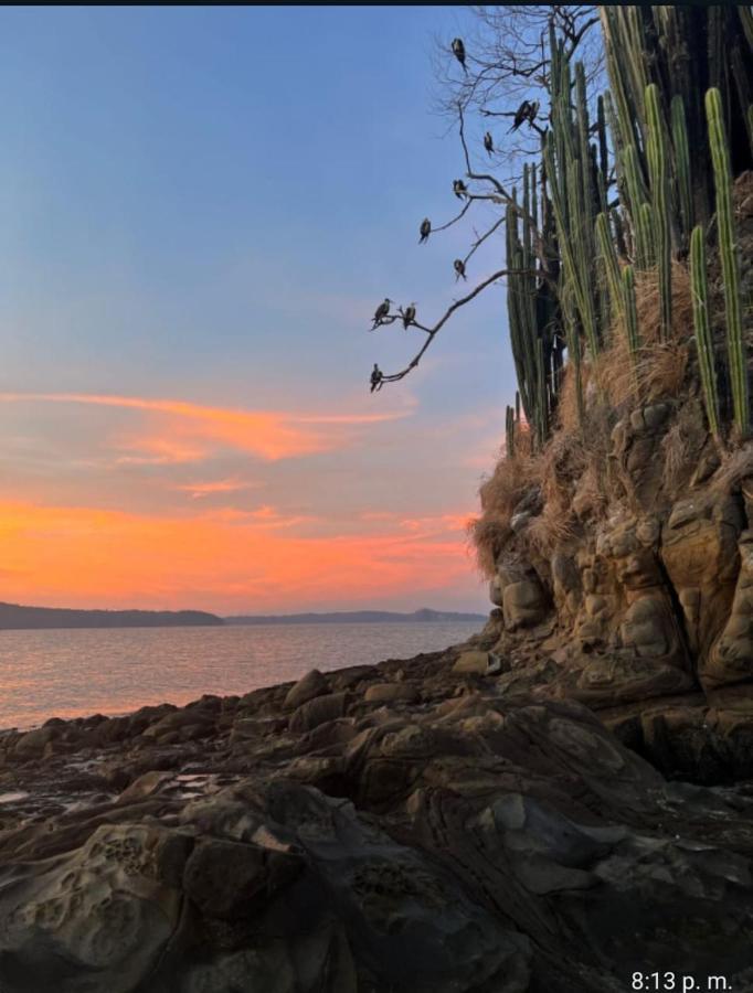 Bioluminiscencia Hostel Tours - South Paquera Dış mekan fotoğraf